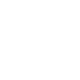 Page Speed Icon