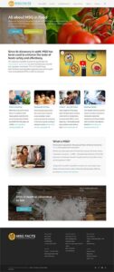 Screenshot of website for MSG Facts